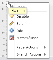 Screenshot of page contxt menu