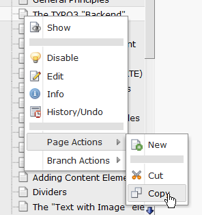 Screenshot of hiding or unhiding a page