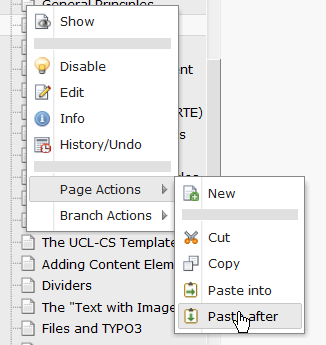 Screenshot of pasting a copy of a page