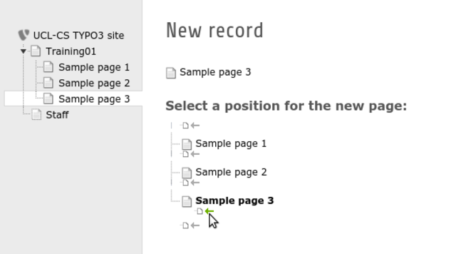 Screenshot of creating a new page