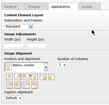 Screen-shot of image appearance form